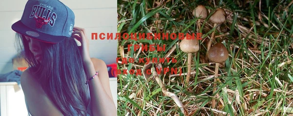 мдпв Кинешма