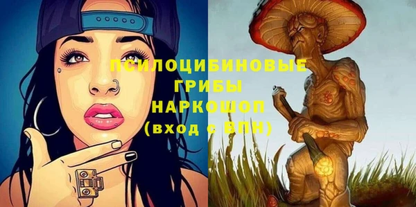 мдпв Кинешма