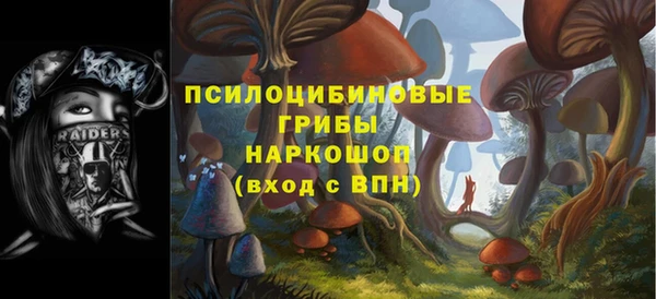 мдпв Кинешма
