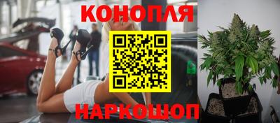 сатива Ливны