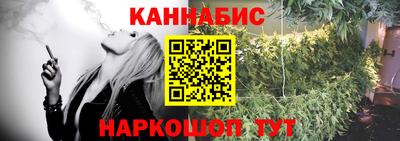индика Лесосибирск