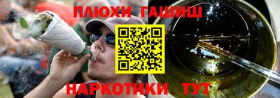 индика Лесосибирск