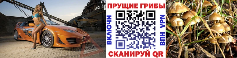 Псилоцибиновые грибы Psilocybine cubensis Джанкой