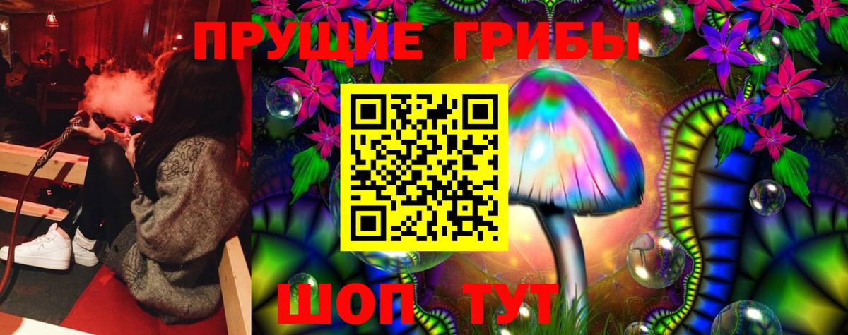 Галлюциногенные грибы Cubensis Джанкой