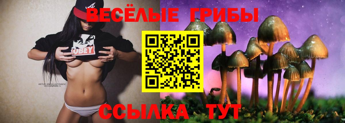 Псилоцибиновые грибы Psilocybine cubensis  Вход с VPN  Джанкой 